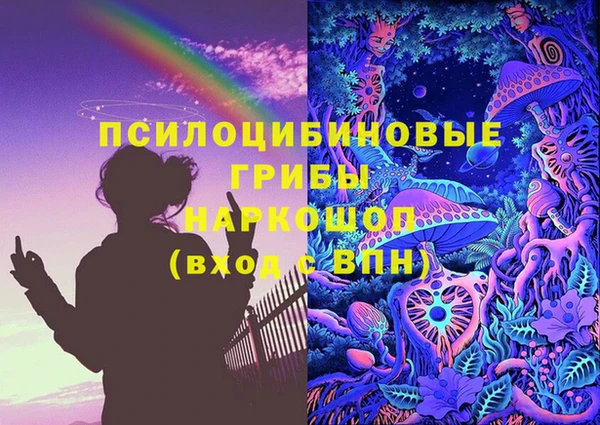 крисы Белоозёрский