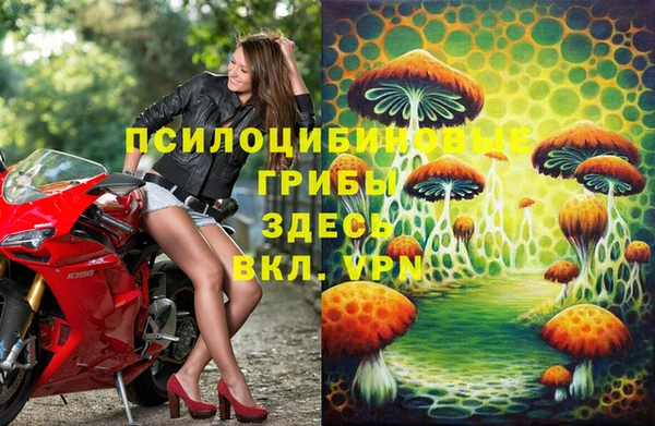 MESCALINE Богданович