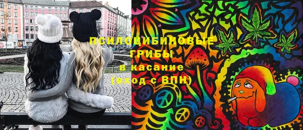 mdpv Бородино