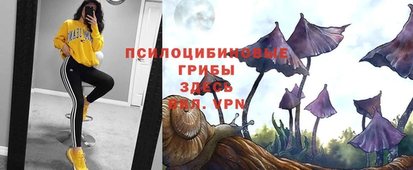 MESCALINE Богданович