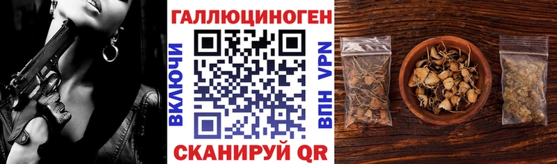 площадка какой сайт  Городовиковск  Галлюциногенные грибы Psilocybine cubensis 